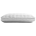 Tempur-Pedic TEMPUR-Cloud ProHi Memory Foam, Pillow, Queen (Pack of 1), White