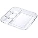 FOYO Tempered Glass Divided Transparent Salad Platter, 10'' Lunch/Dinner Dish for Dividing Sauces/Jam/Side Dish and Food - Healthy Lifestyle Dinnerware