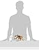 Schleich Griffin Rider Toy