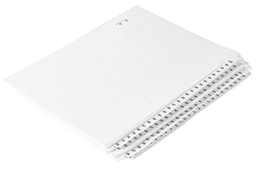 Numbered Dividers 1-100 Punched