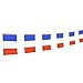 TSMD France Flag, 100 Feet French Flag National Country Pennant Flags Banner,Party Decorations for Grand Opening,World Cup,Olympics,Bar,School Sports Event,International Festival Celebration primary