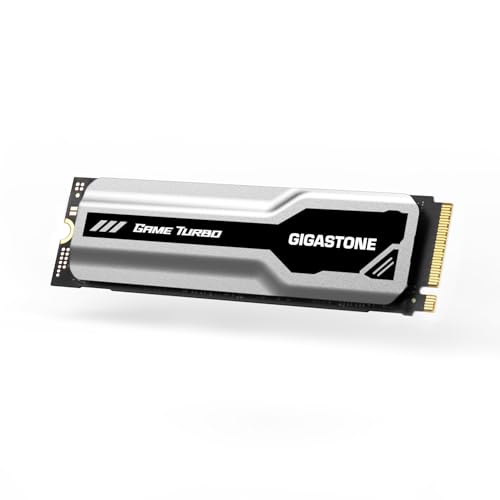 Gigastone M.2 NVMe SSD