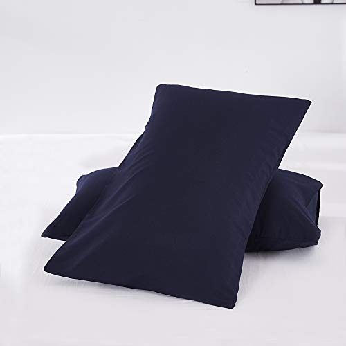 OAITE Duvet Cover,Protects and Covers Your Comforter/Duvet Insert,Luxury 100% Super Soft Microfiber,Queen Size,Color Silver Gray,3 Piece Duvet Cover Set Includes 2 Pillow Shams (Deepblue, Queen)