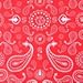 12-in-1 Bandana Headband - Versatile Outdoors & Daily Headwear - 12 Ways to Wear including Bandana, Neck Gaiter, Helmet Liner, Balaclava. Performance Moisture Wicking Microfiber. Lab Tested UPF 30