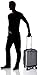 Delsey Luggage Helium Shadow 3.0 19 Inch Int'L Carry-On Exp. Spinner Suiter Trolley, Platinum, One Size