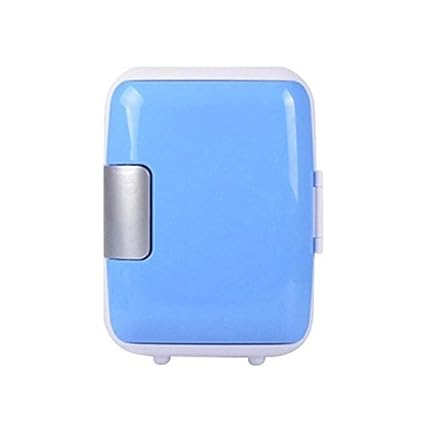 Amazon.es: 4L 12V 220V Mini Coche Nevera Refrigerador Calentador ...