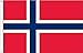 Norwegian Flag - Beautiful, Durable, All Weather Nylon, Norway Flag with Fully Sew