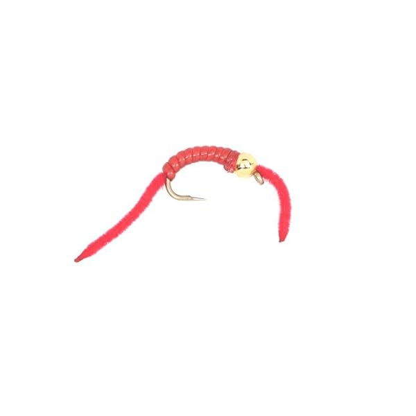 Trout-Fly-Assortment-3-San-Juan-Worm-Power-Bead-1-Dozen-Wet-Nymph-Fly-Fishing-Flies-Collection