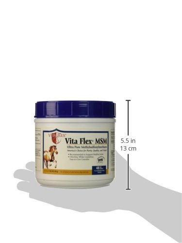 Vita Flex Pro MSM Joint Supplement | Odorless | For Horses, Ponies, Dogs and Cats | 1 lb (3000093)