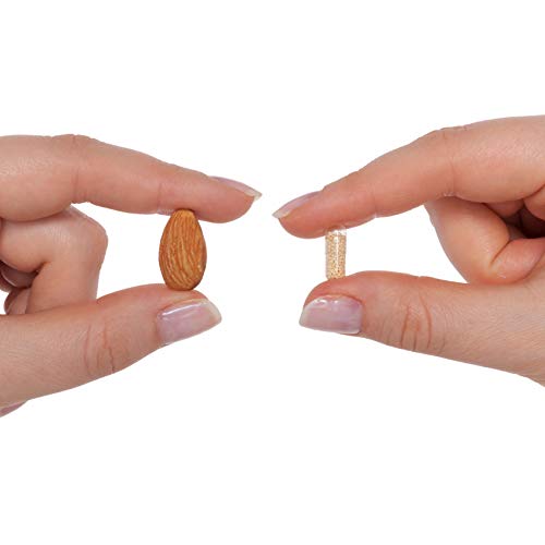 Seeking Health Histamine Block DAO Supplement Enzyme Food