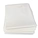 H&B Luxuries Plant Cover & Frost Protection Blanket for Seed Germination, Shrubs & Trees from Being Damaged, Bad Weather or Pests, White (5'x32')