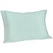 Spasilk Pure Silk Pillowcase, 100% Charmeuse Silk for Hair and Beauty, Hypoallergenic Pillowcase, Queen Sized, White