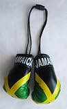 Jamaica - Mini Boxing Gloves