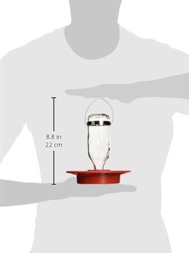 Best 1 8oz Hummingbird Feeder Buy Online In Egypt Lawn