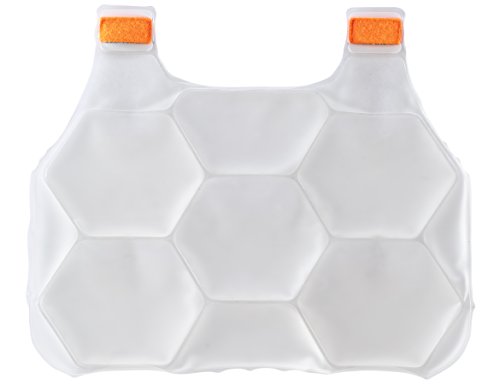 Cooling Ice Packs, Includes 2 Charge Packs, Compatible with Ergodyne Chill Its Cooling Vests, L/XL