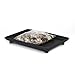 Bonsai Humidity Tray 6" x 9" with river rocks by Eastern Leaf