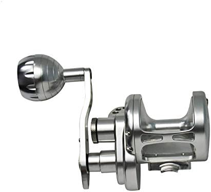 gdangel fishing reel Saltwater Fishing Trolling Reel Sea Boat Max Drag 20-25kg Jigging Reel Tc200silver Left Hand