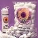 Swisspers Premium Products Cosmetic Rounds