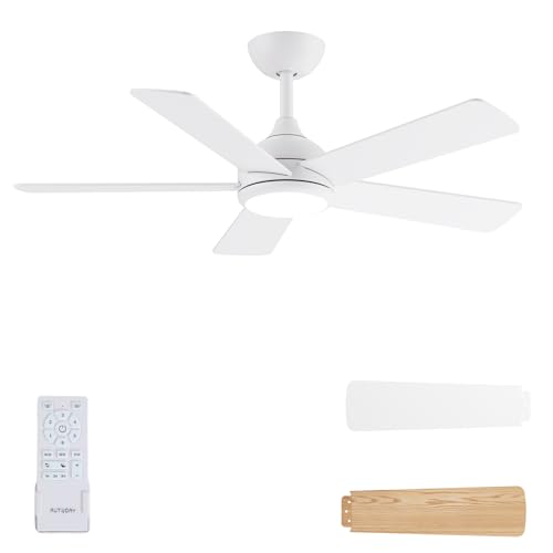 AUTODAY Ceiling Fan with Led Light, 24W Dimmable, Silent DC Motor 35W, 132Cm, Plywood Blades, Memory Remote Control, 6 Speed, White