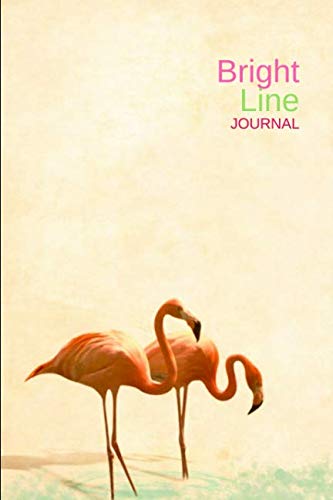 Bright Line Journal: A daily food planner to organize and track your meals, BLE weight loss program, 180 days, 91 pages - Soft cover 2