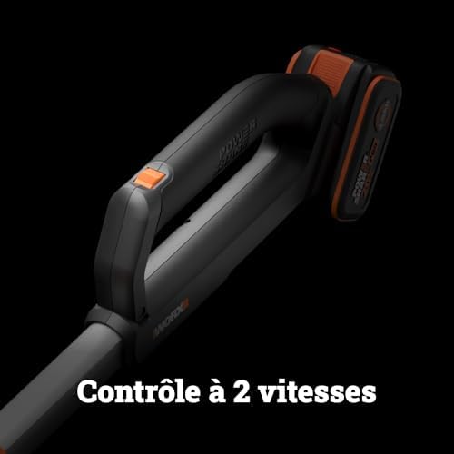 Souffleur Brushless sans Fil 20V WG543E.9