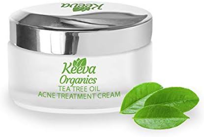 best concealer for eyebrows