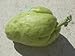 Fresh Chayote (Sechium edule) Mirliton Choko Tropical Importers (3 Lb)
