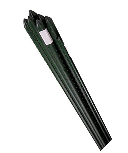 Bond Manufacturing SS6 100-Pack Super Steel Stake for Plant Support, 6-Feet