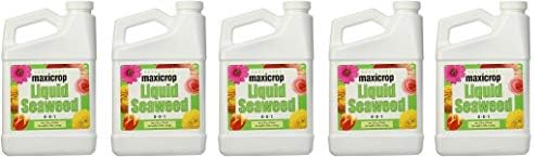 Maxicrop 1001 Liquid Seaweed, 1-Quart (5-(Pack))