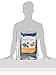 Royal Canin Feline Care Nutrition Hair & Skin Care Adult Dry Cat Food, 6 lb Bag