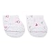 aden + anais Burpy Bib, 100% Cotton Muslin, Soft Absorbent 4 Layers, Multi-Use Burp Cloth and Bib, 22.5” X 11”, 2 Pack, Lovely