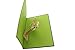 PopLife T-Rex Velociraptor Dinosaur Pop Up Card, 3D Card for All Occasions - Fossil Display