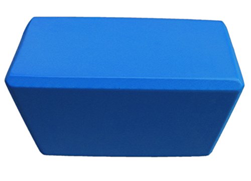 LUXEHOME Yoga Brick for Sports Exercise Fitness, 2 Pack EVA ECO Friendly Foam Extra Wide Yoga Blocks 4 In. x 6 In. x 9 In. Assort Colors, Perfect for Stretch Exercise Gym Exercise Body Building (Blue)