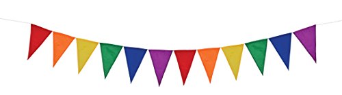 In The Breeze Rainbow Pennant String