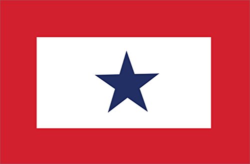 Pro Pad FLG-BS Sleeved 6