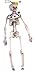 The Gothic Collection Set of 3 Clown Skeletons Halloween Prop Decoration