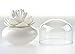 Bloss Cotton Swab Holder Q-tip Storage Cotton Swab Container or Toothpick Holder for Kitchen, White