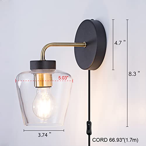 TeHenoo Plug in Wall Sconce, Clear Glass Shade,Modern Matte Black Wall