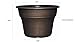 Capello Planter, 15.5