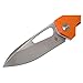 Kizer Title Cutlery Kesmec Kim and AZO Vanguard VG10 G10 Orange Knife (V4461A2), Black