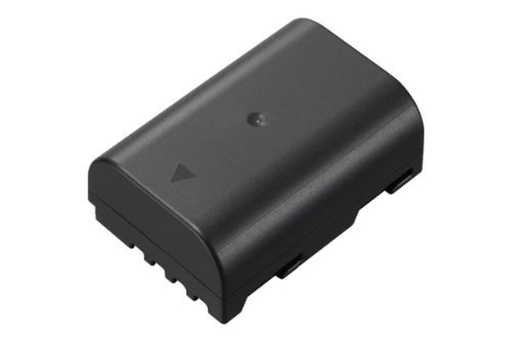 Panasonic LUMIX DMW-BLF19E Rechargeable Battery Pack for G Series