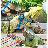 JASSINS Adjustable Reptile Lizard Harness Leash