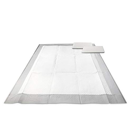 HONEY CARE AllAbsorb Dog/Puppy Potty Training Pads, 5Layer LeakProof