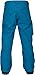 Burton Men's Covert Snow Pant