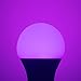 JandCase A19 Purple Light Bulbs, Halloween Purple Light Bulbs, 9W(60W Incandescent Equivalent), Halloween Color Light Bulb with E26 Medium Base, Living Room, Porch, Home Lighting, 2 Pack