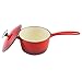 Zelancio Enameled 2-Quart Cast Iron Sauce Pan, Pot with Lid. Perfect as a Bean Pot, Spaghetti Sauce Pot, Barbecue Sauce Pot, or Pasta Sauce Pot, Cayenne Red