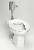 Toto CT705ENGNo.01 Commercial Flushometer HET-1.28-GPF, with SanaGloss, Cotton