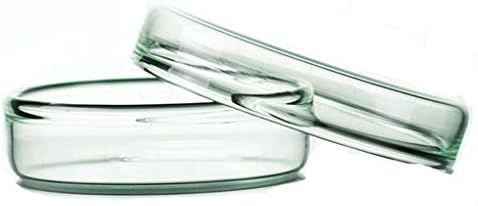Glass Cell Petri Dish 60mm Thick And Transparent Plate Aseptic 5/Pack Chemical Laboratory Equipment 0711WM (Size : 100mm)