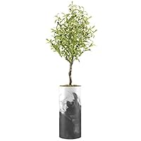 SIGNWIN Olive Tree with Black & White Smoky Paint Smudge Effect Vase Geometric Shapes Minimalism Zen Relax/Calm Grey Dark for Living Room, Bedroom, Office - X-Large 5 Feet (60