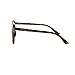 Mio Eyewear [Cateye - Brown Gradient] Fashion Sunglasses for Woman (100% UV Protection) - Marble Brown